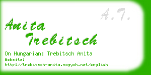 anita trebitsch business card